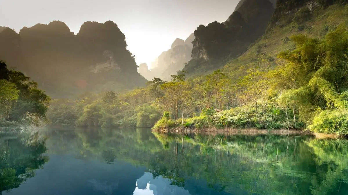 绿色网络化无人化